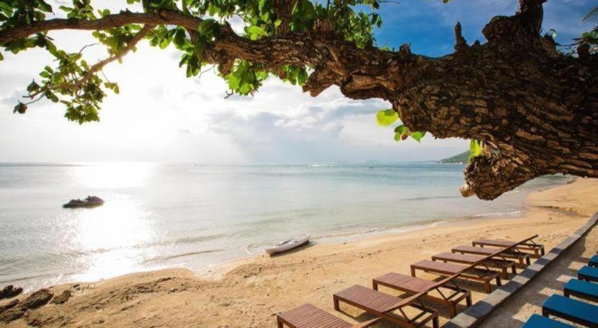 Sunset Club Resort